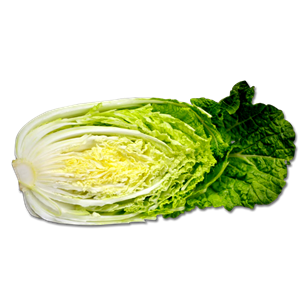 Cabbage PNG image-8819